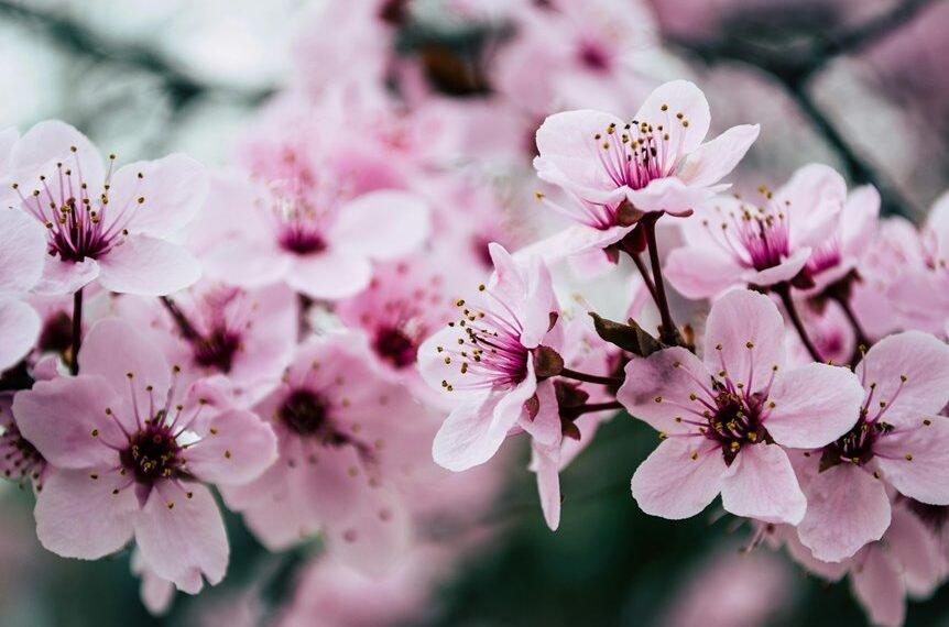 digital growth solutions expert