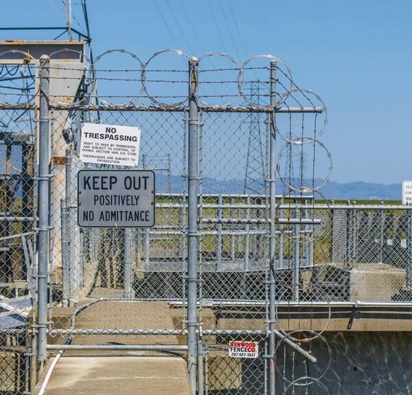 trusted website authority boost